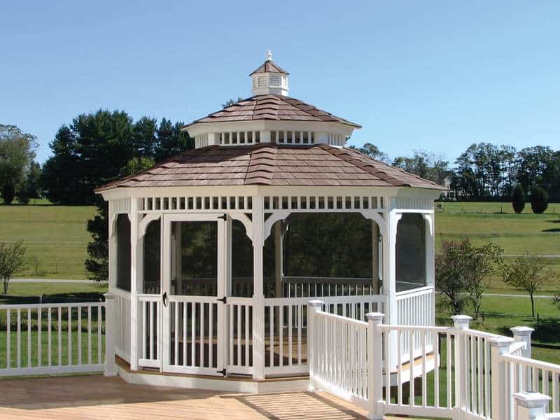 Octagon 3