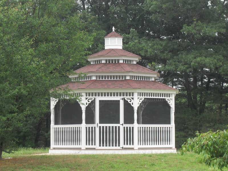 Octagon 11